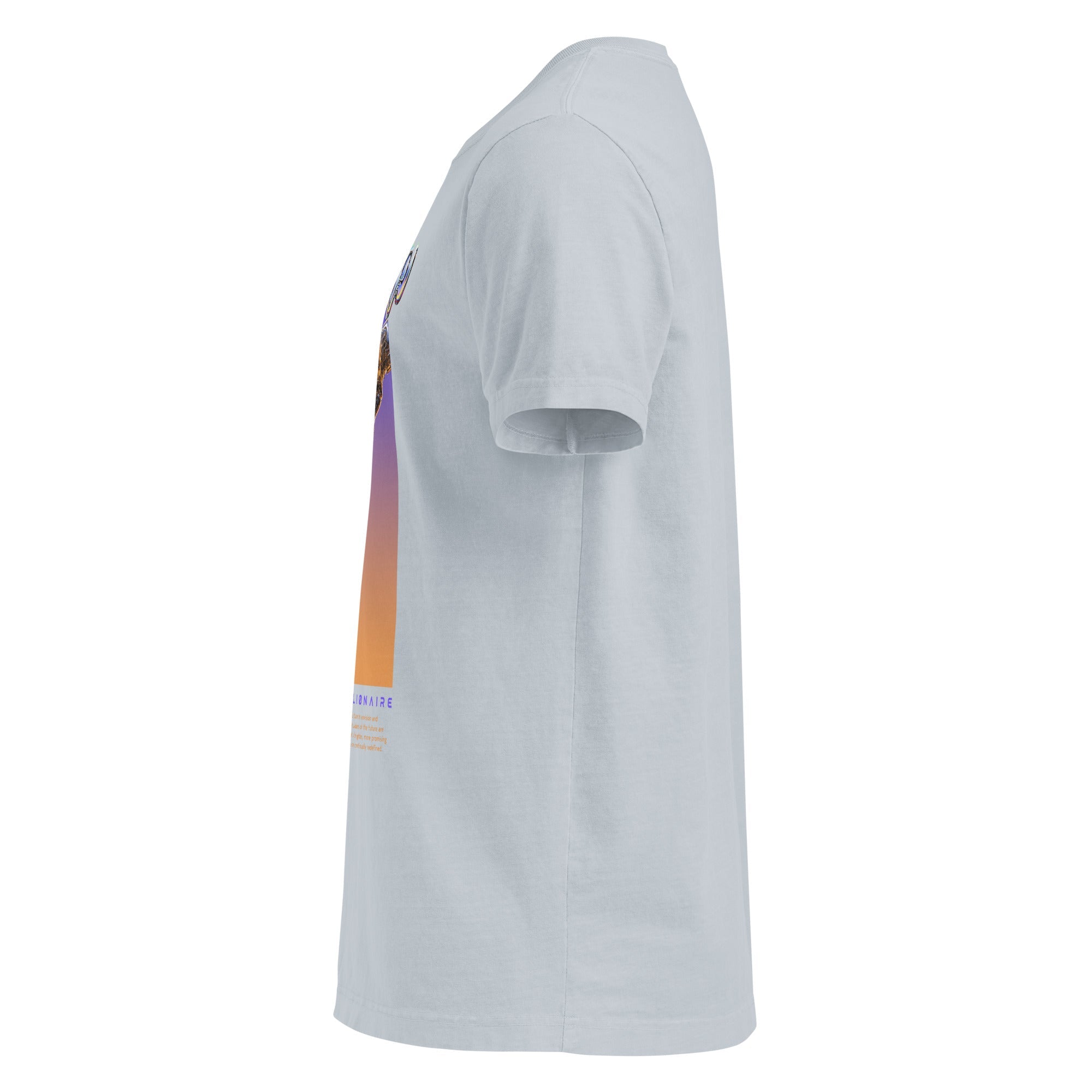Architects (Unisex Oversized T-shirt) - Trillii