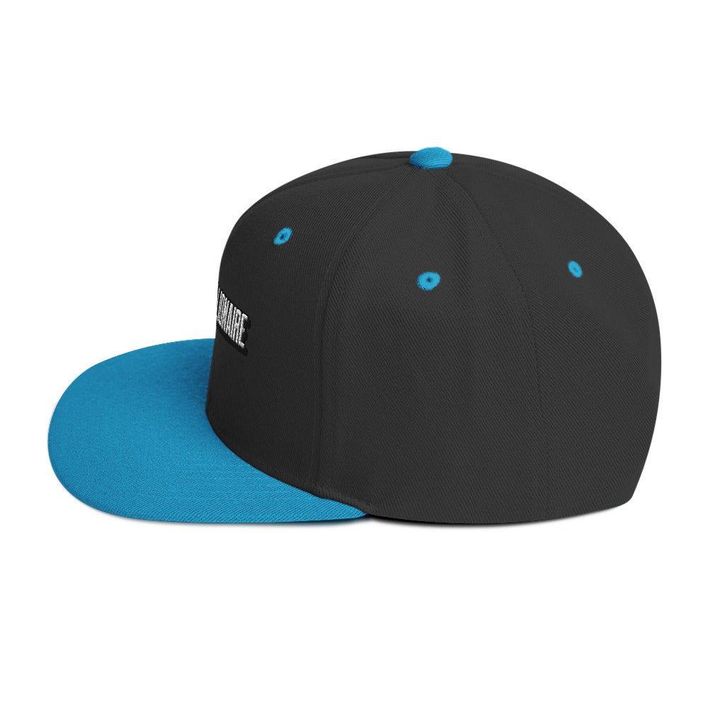 Big Time (Snapback Hat - FB0103) - Trillii