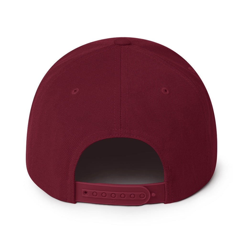 Big Time (Snapback Hat - FB0103) - Trillii