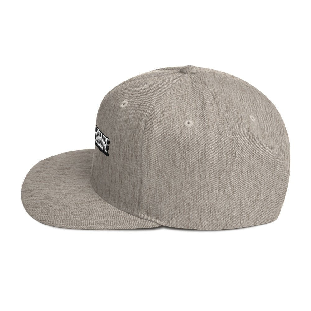 Big Time (Snapback Hat - FB0103) - Trillii