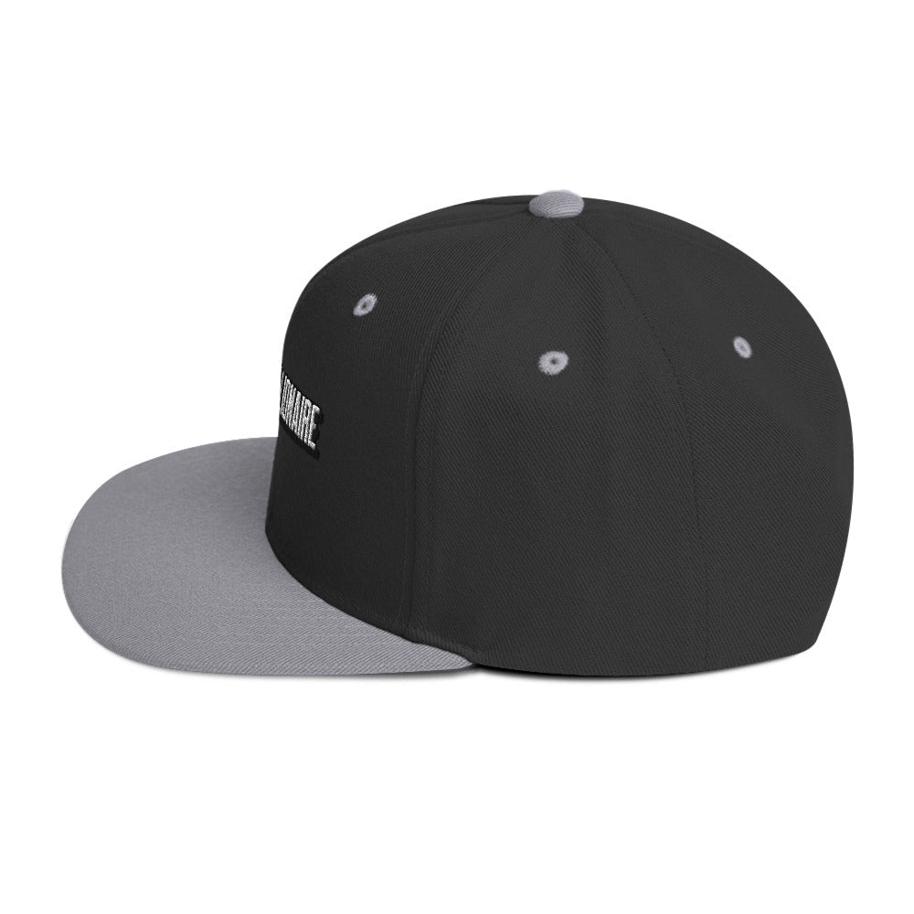 Big Time (Snapback Hat - FB0103) - Trillii
