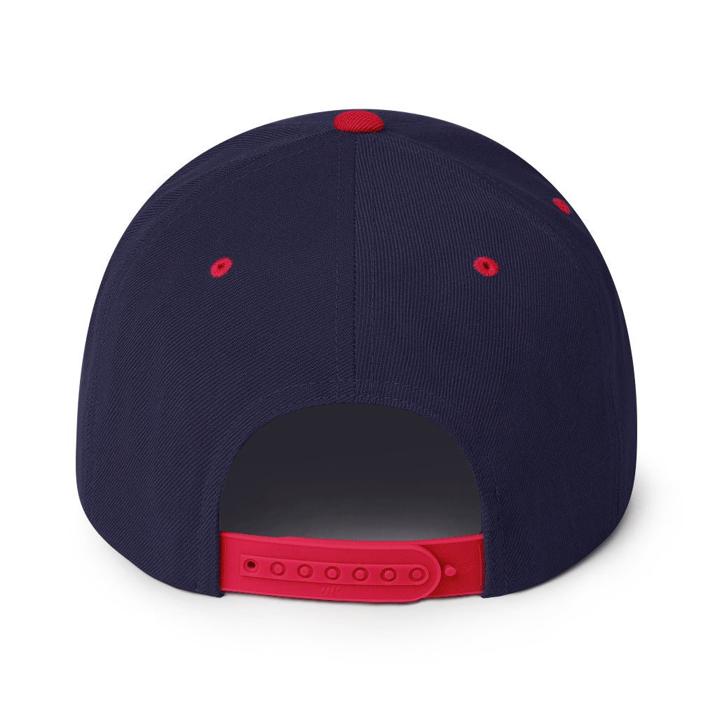 Big Time (Snapback Hat - FB0103) - Trillii