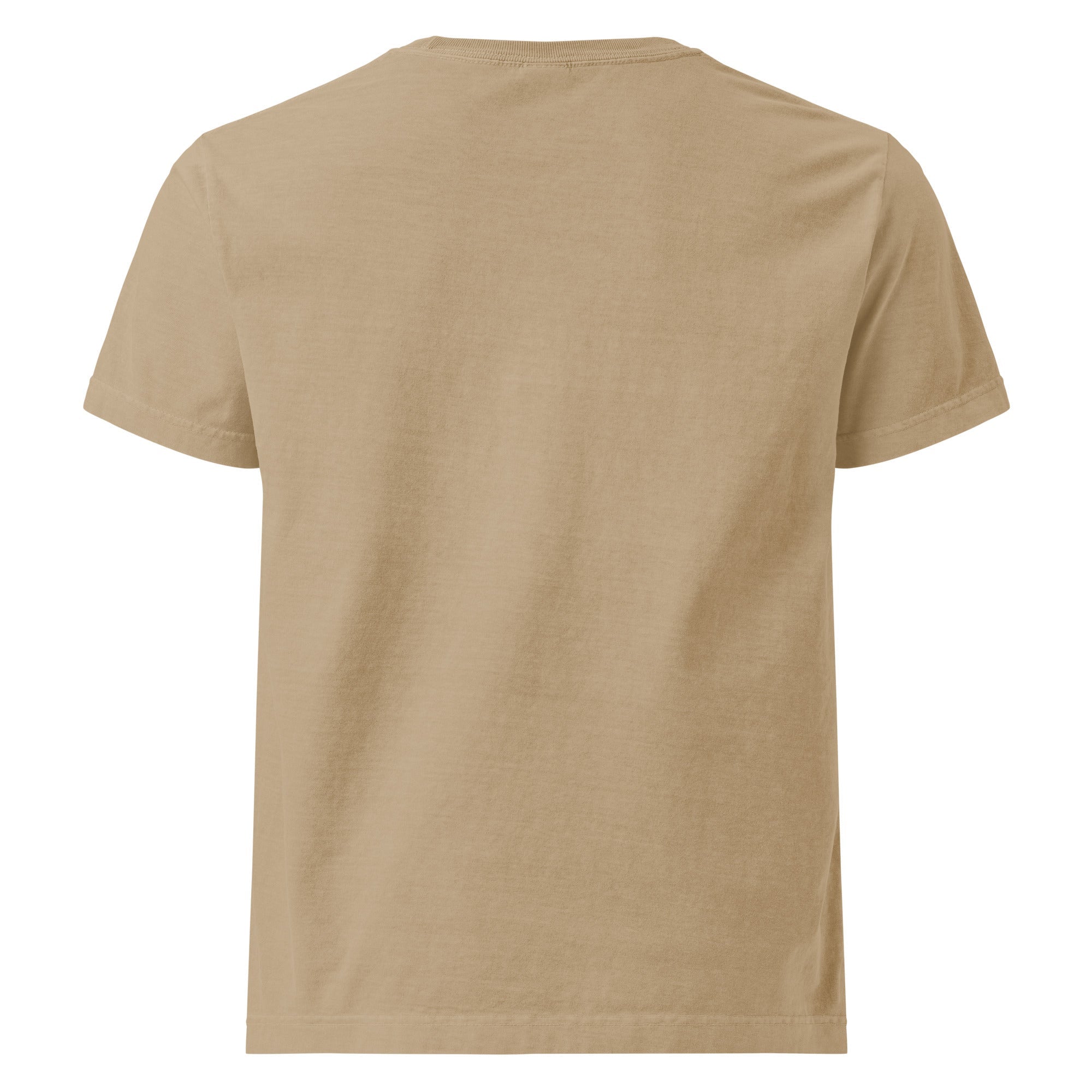 Boy Genius (Oversized T-shirt - FB0144) - Trillii