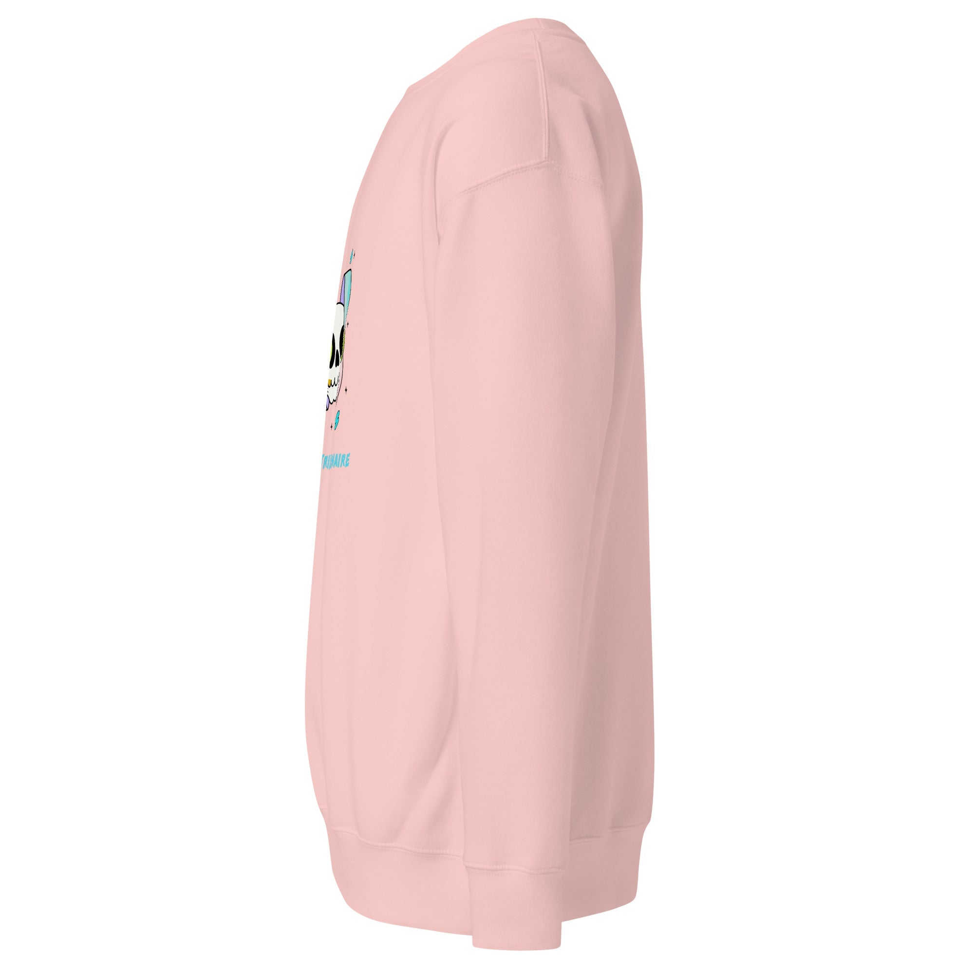 Boy Genius (Unisex Premium Sweatshirt) - Trillii