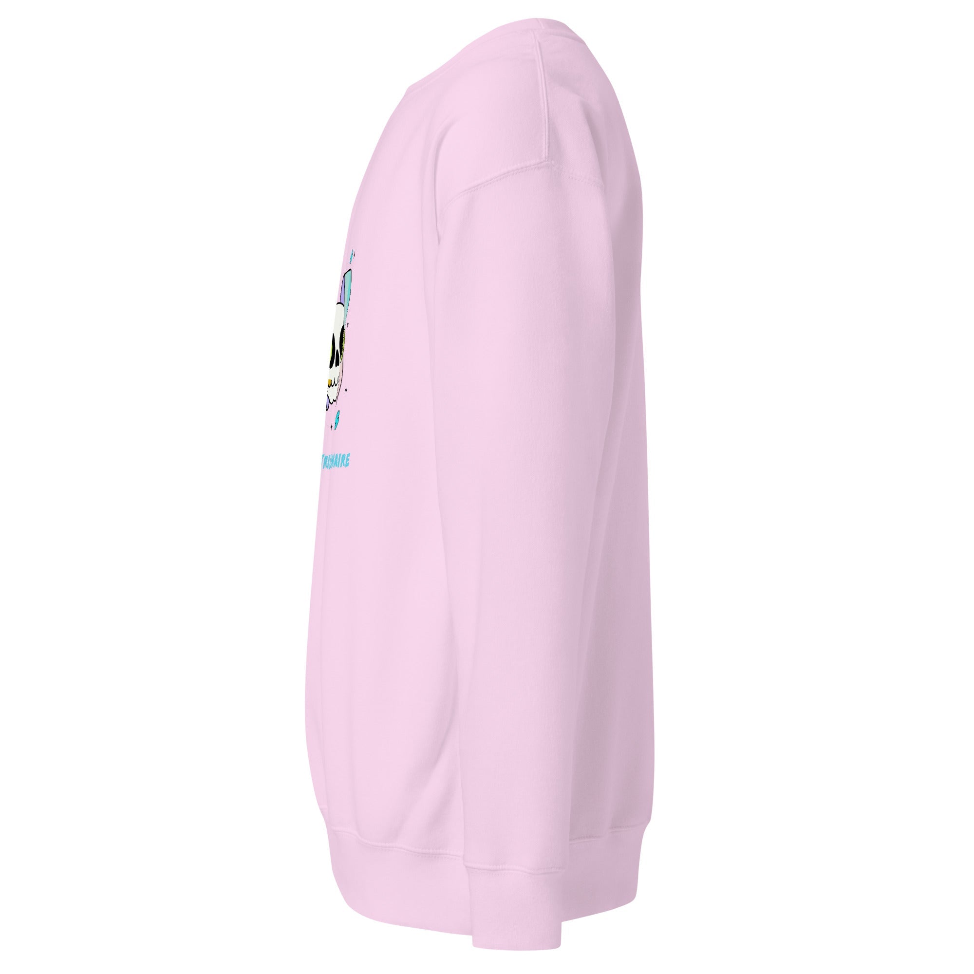 Boy Genius (Unisex Premium Sweatshirt) - Trillii