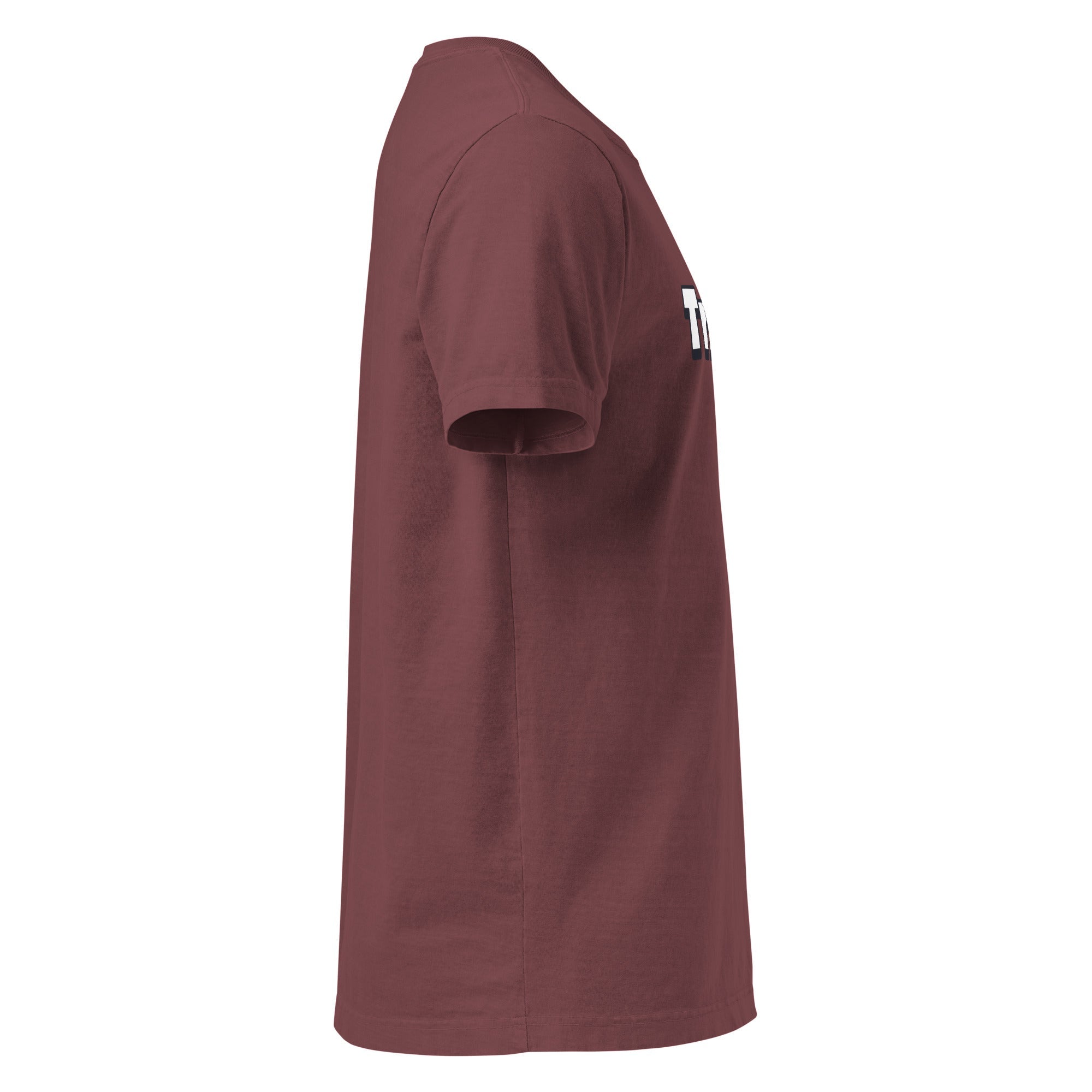 Cash Money (Unisex oversized t-shirt - FB0146) - Trillii