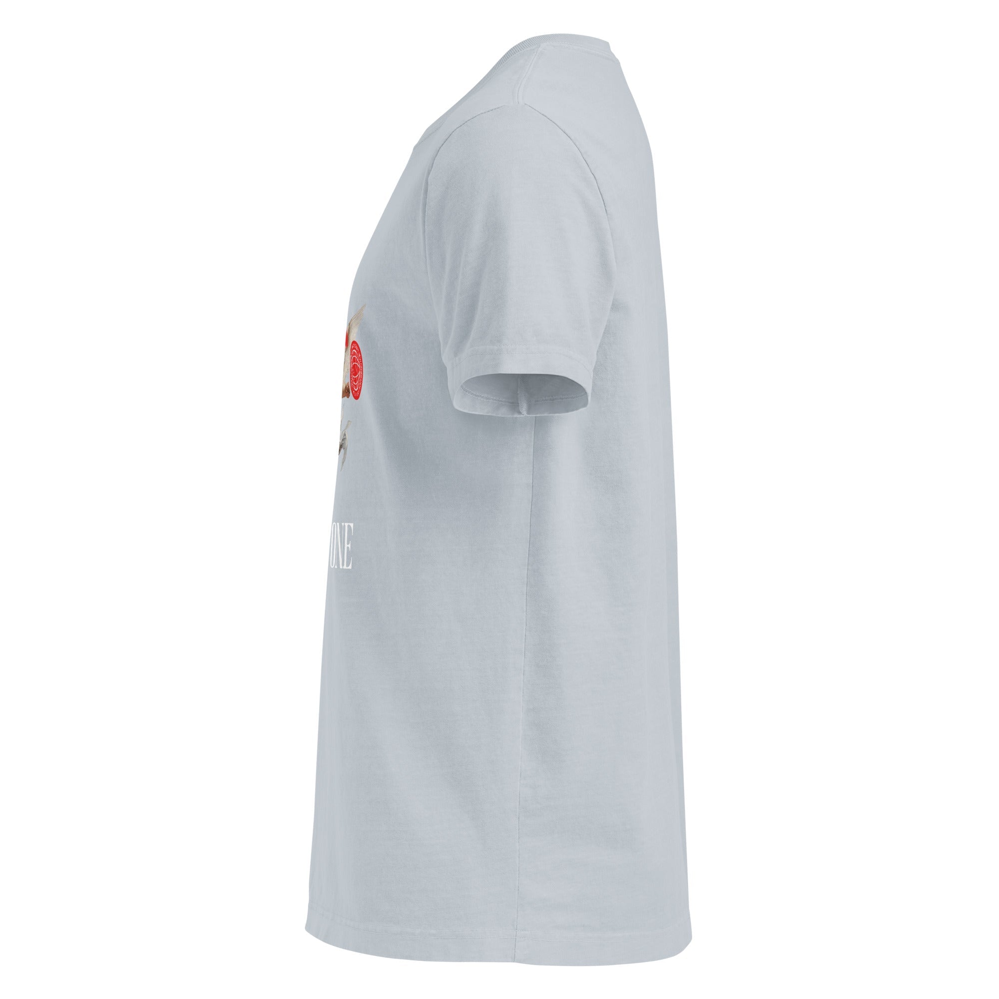 Chosen One (Oversized T-shirt - FB0133) - Trillii