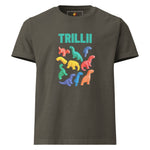 Dinosaur Dreams (Oversized T-shirt - FB0132) - Trillii