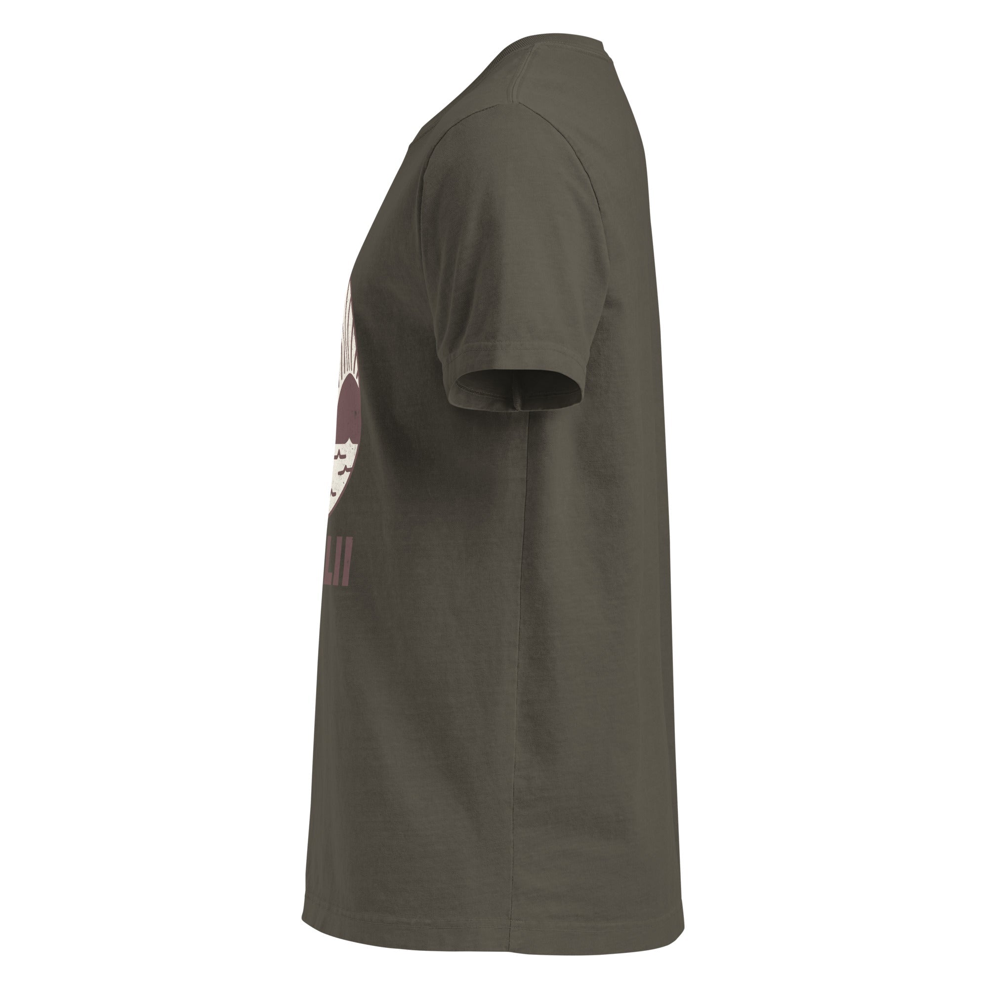 Do Not Disturb (Unisex oversized t-shirt) - Trillii