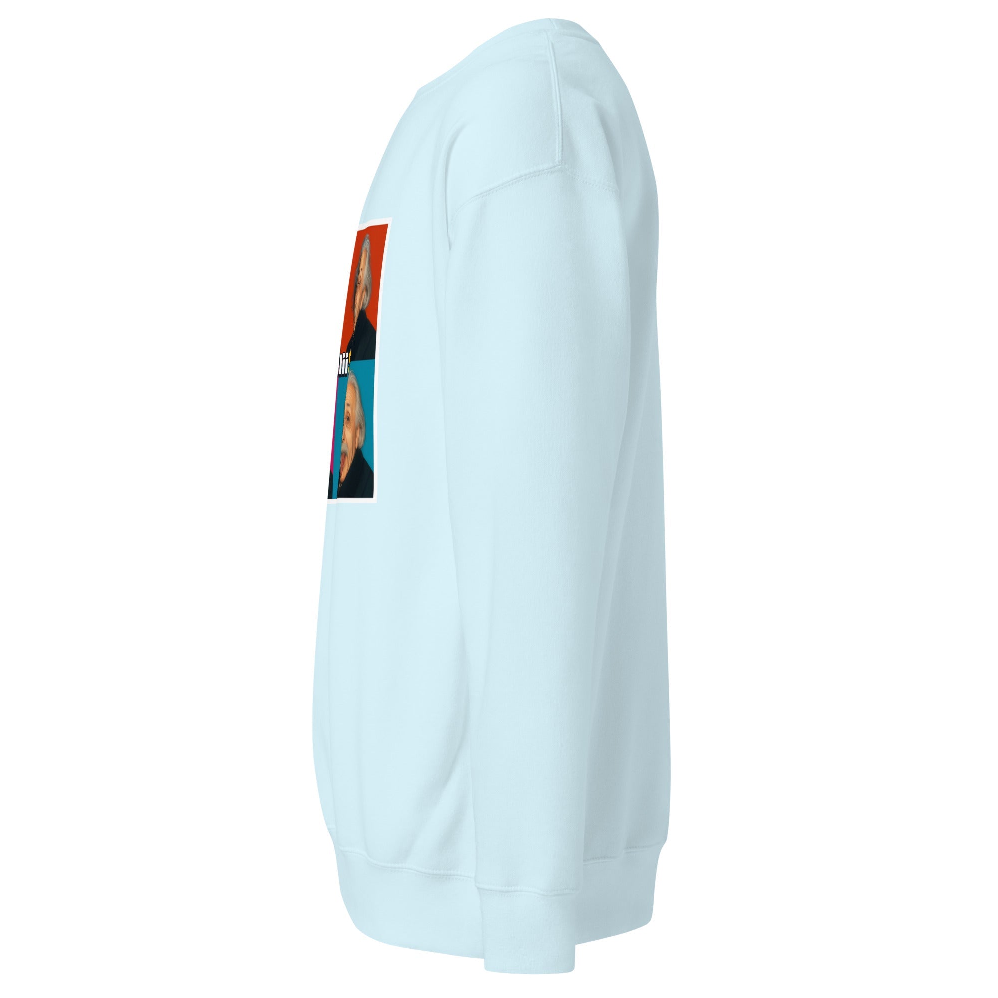 Einstein (Unisex Premium Sweatshirt - 0039) - Trillii