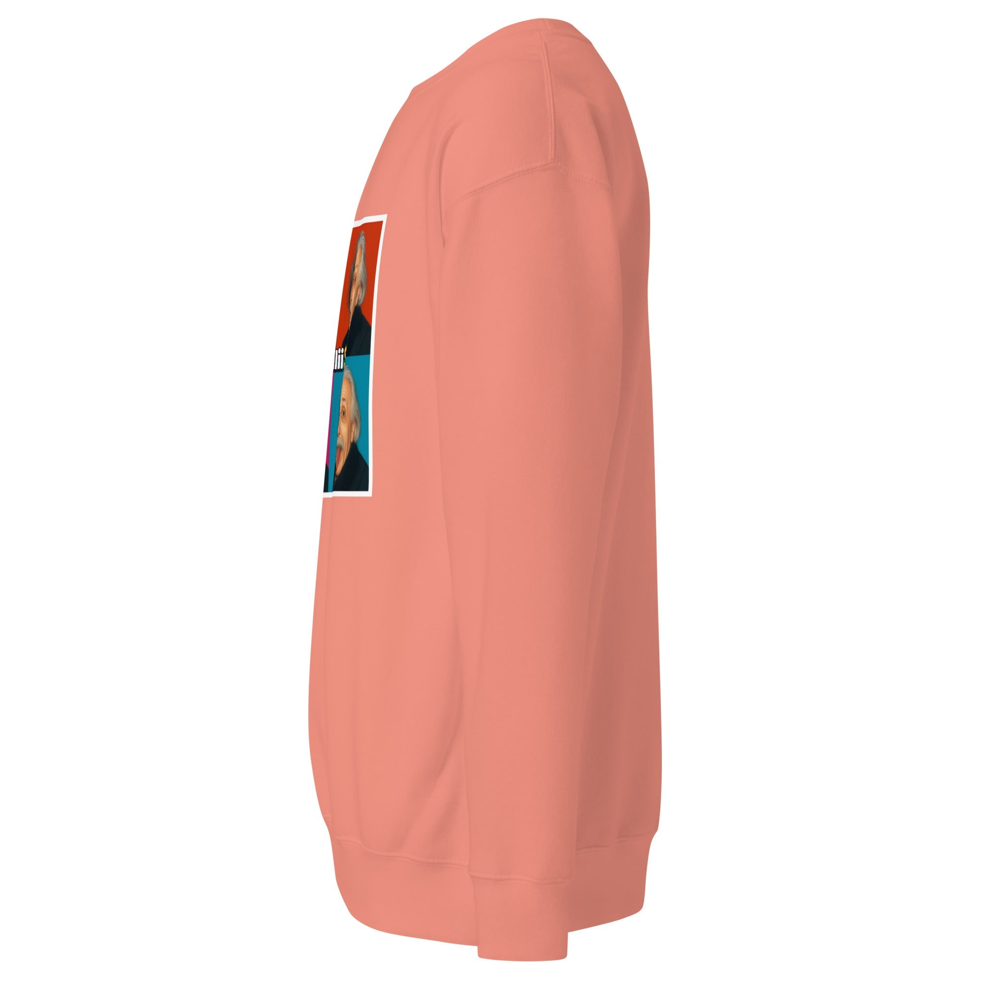 Einstein (Unisex Premium Sweatshirt - 0039) - Trillii