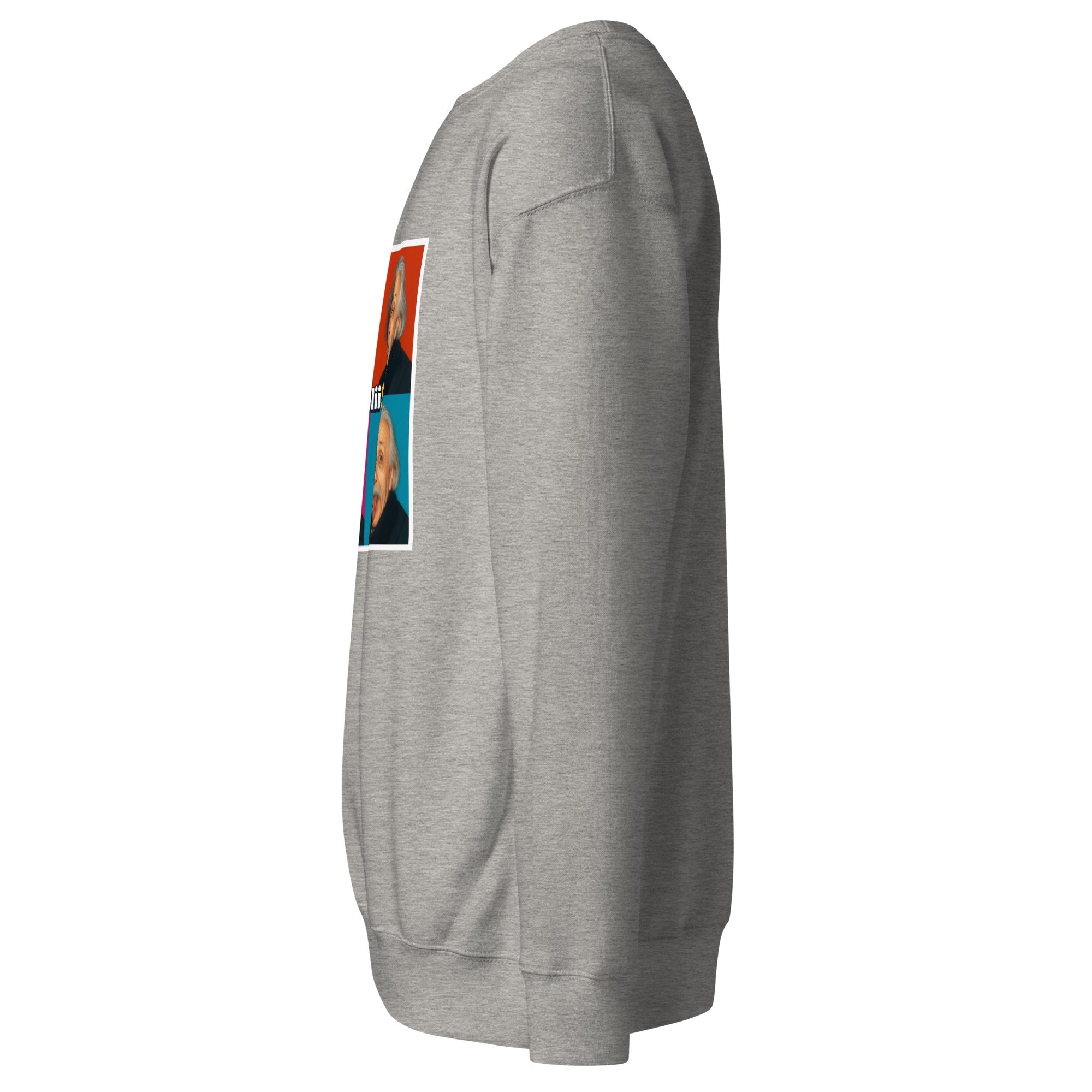 Einstein (Unisex Premium Sweatshirt - 0039) - Trillii