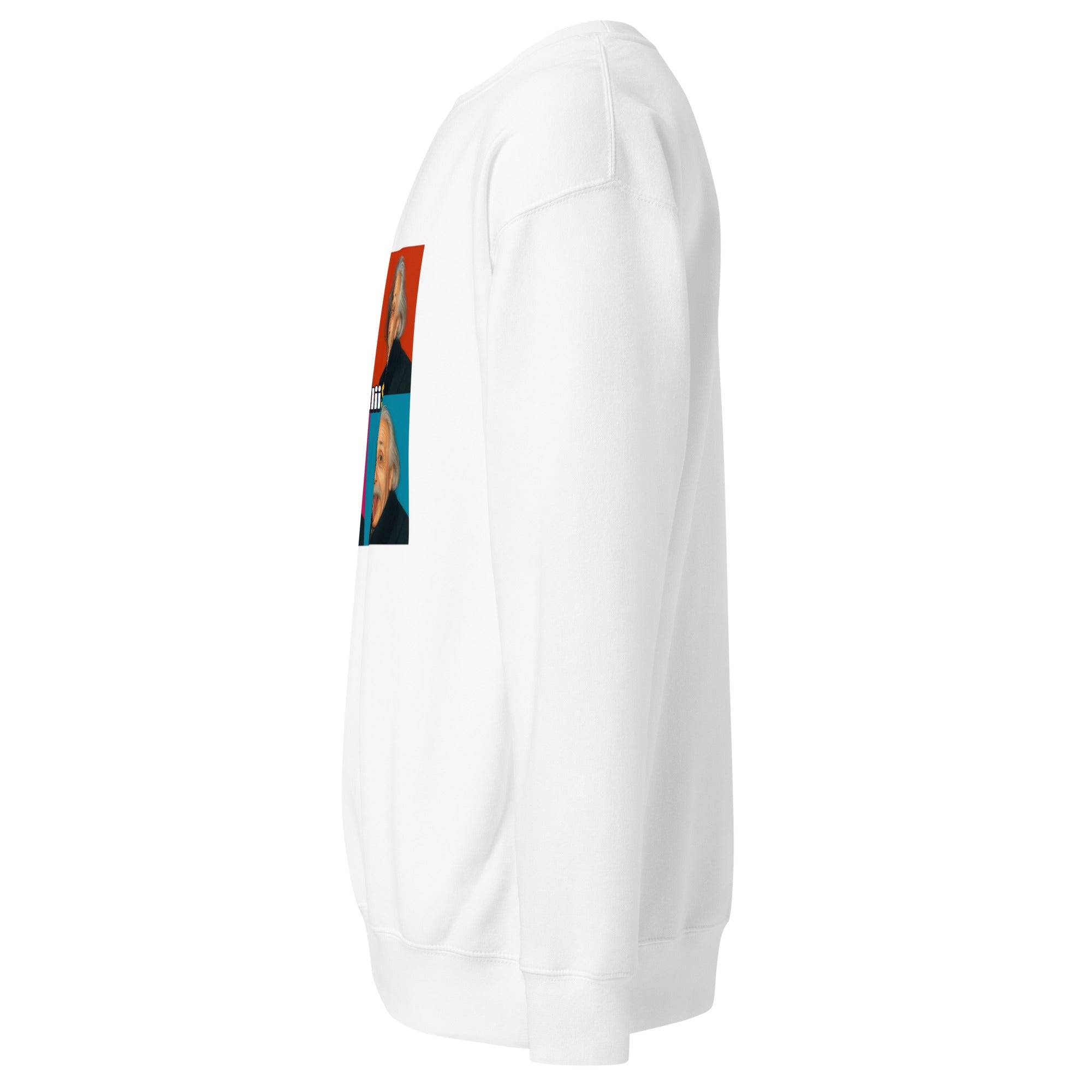 Einstein (Unisex Premium Sweatshirt - 0039) - Trillii