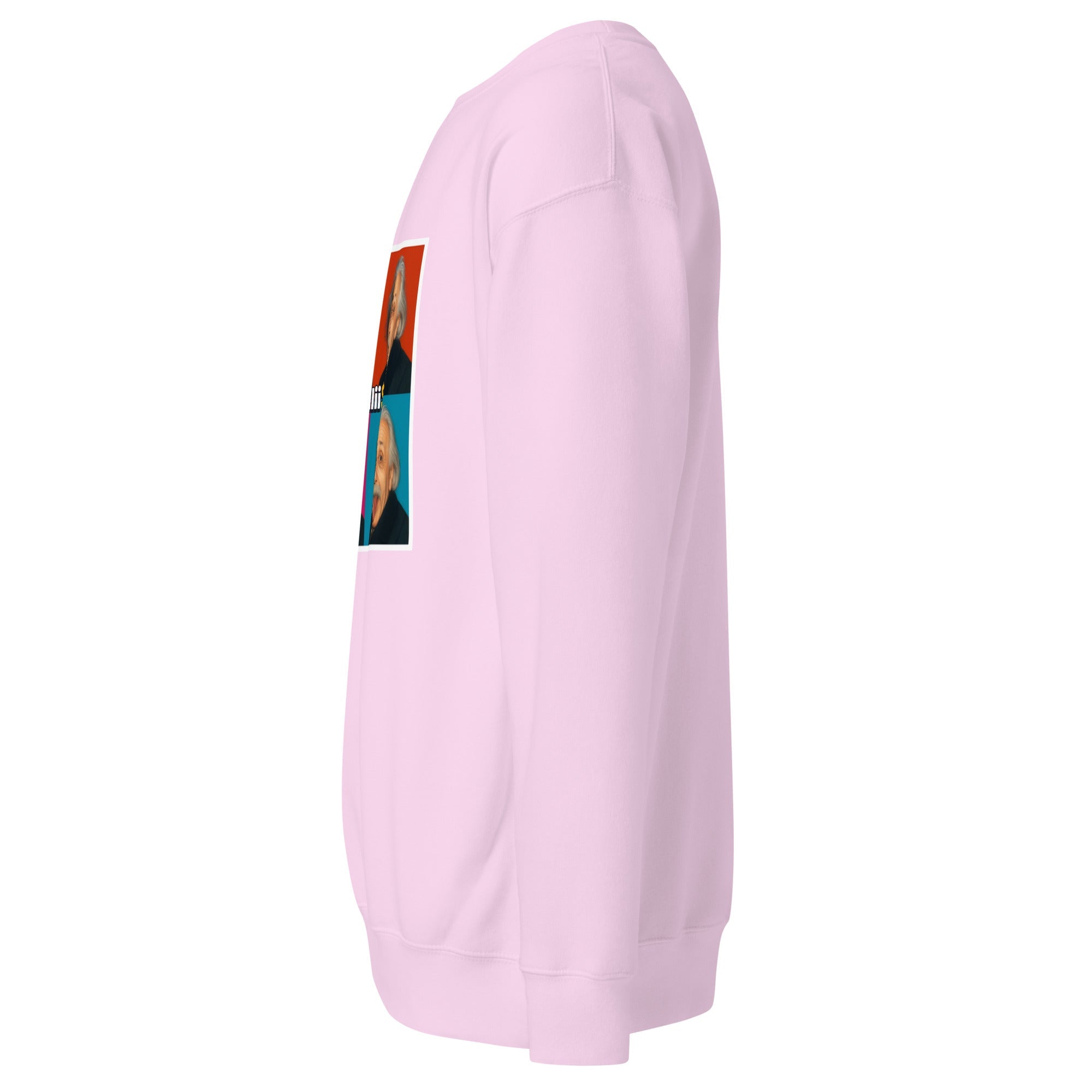 Einstein (Unisex Premium Sweatshirt - 0039) - Trillii