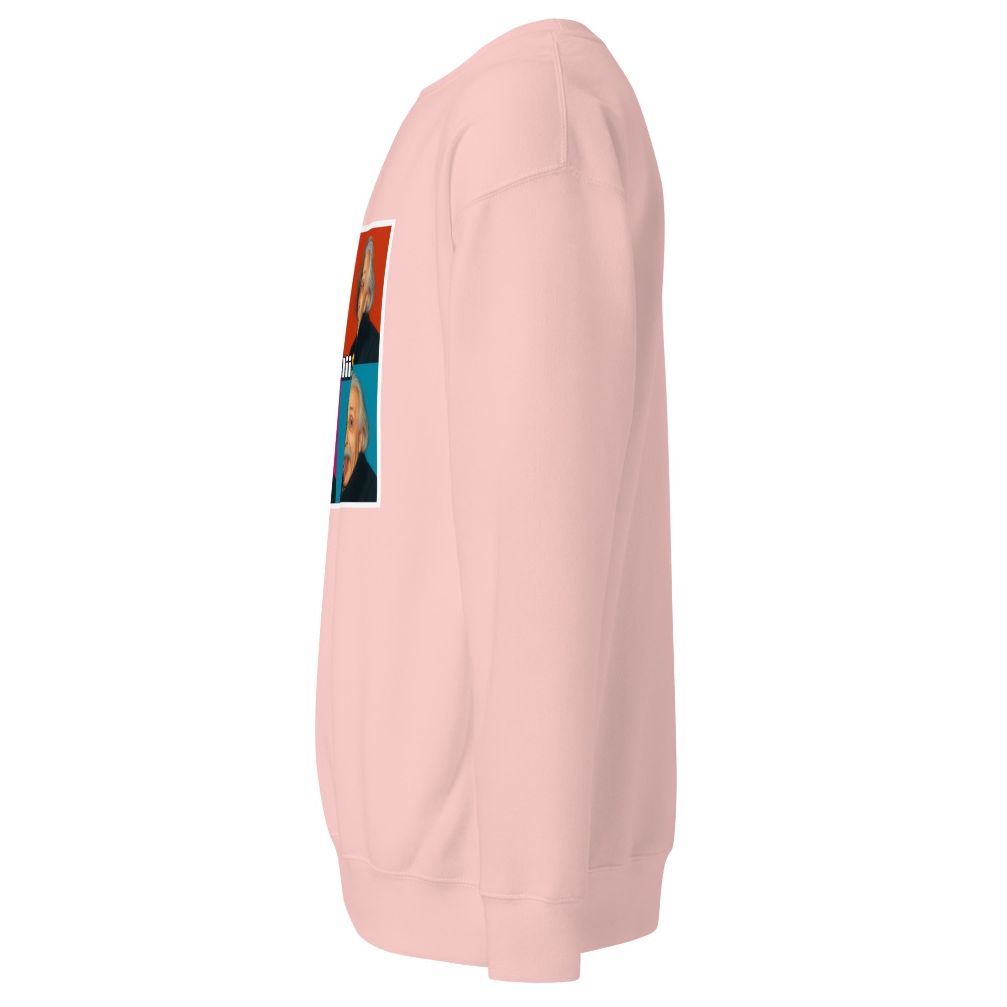Einstein (Unisex Premium Sweatshirt - 0039) - Trillii