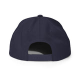 Future Billionaire Original - P (Snapback Hat - FB0031) - Trillii