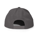 Future Billionaire Original - P (Snapback Hat - FB0031) - Trillii