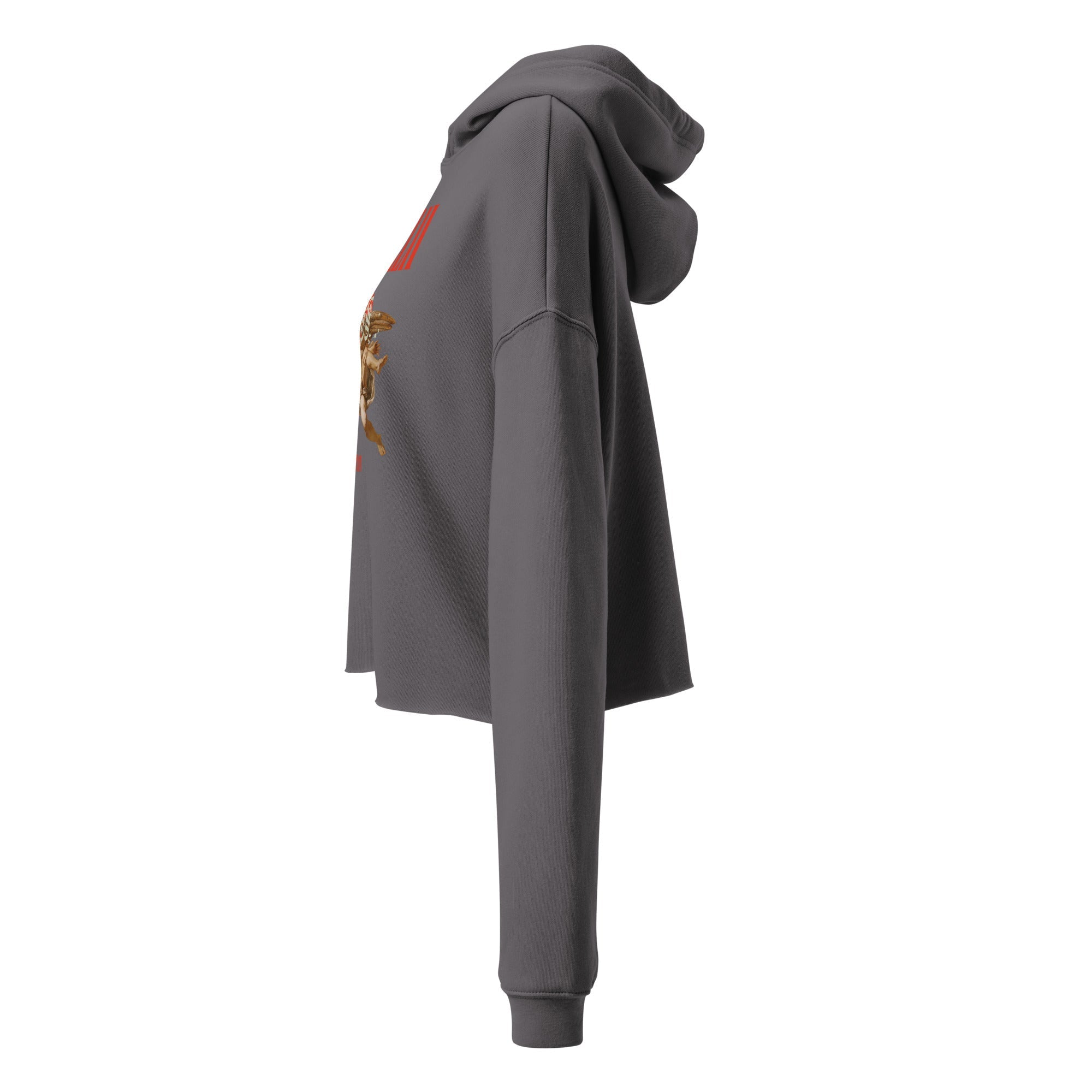Icarus (Crop Hoodie) - Trillii