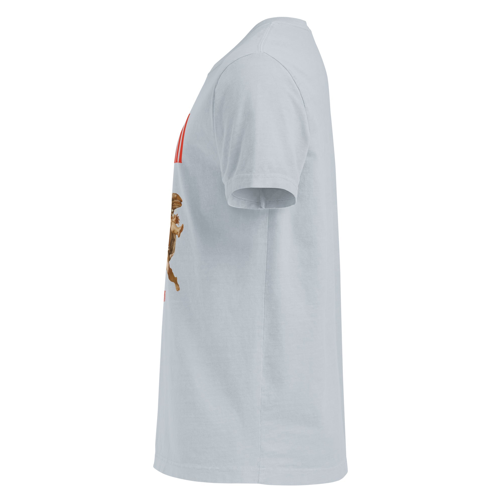 Icarus (Unisex oversized T-shirt) - Trillii