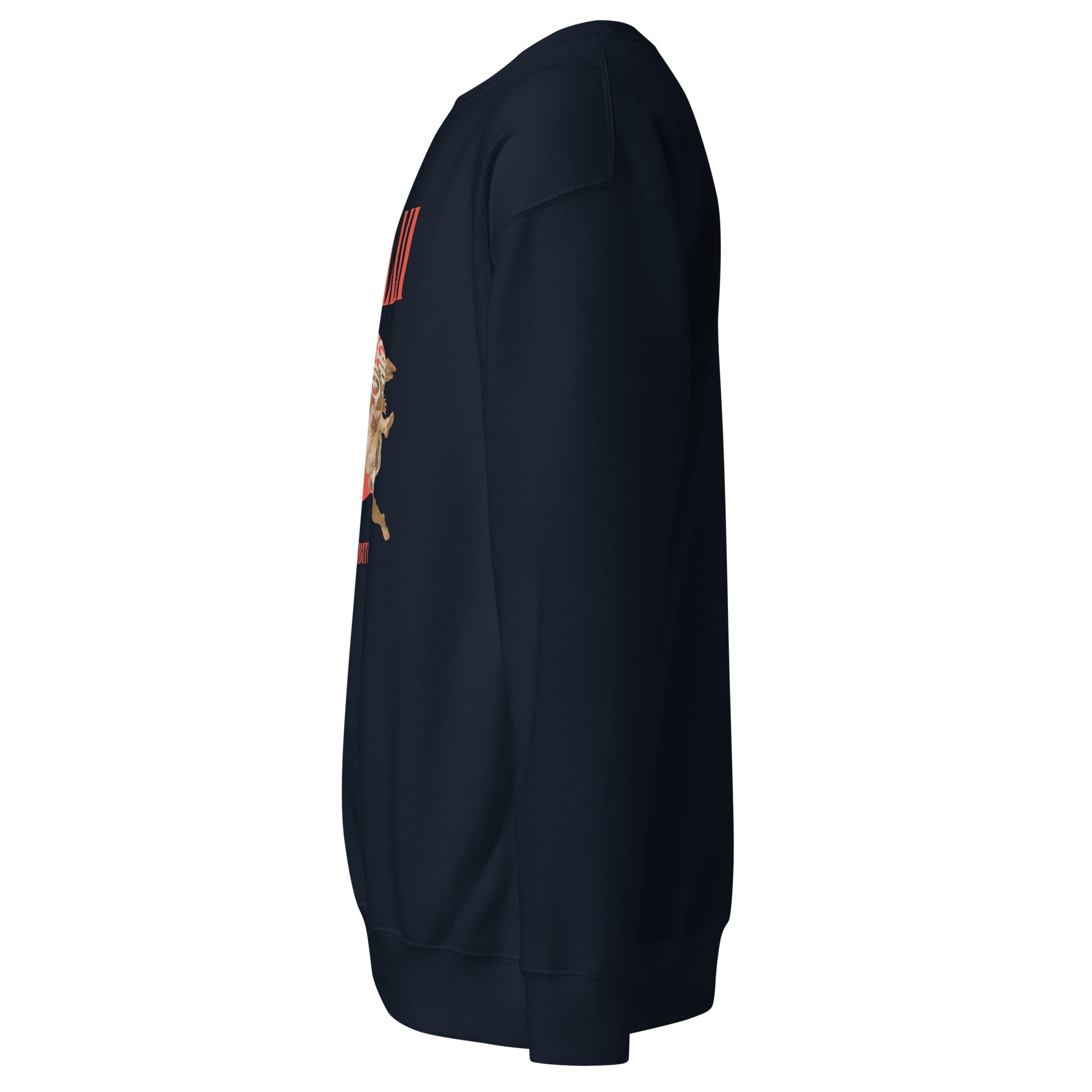 Icarus (Unisex Premium Sweatshirt) - Trillii
