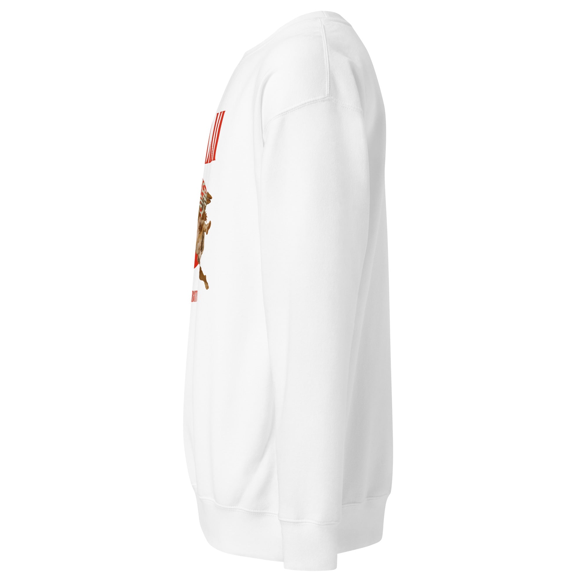 Icarus (Unisex Premium Sweatshirt) - Trillii