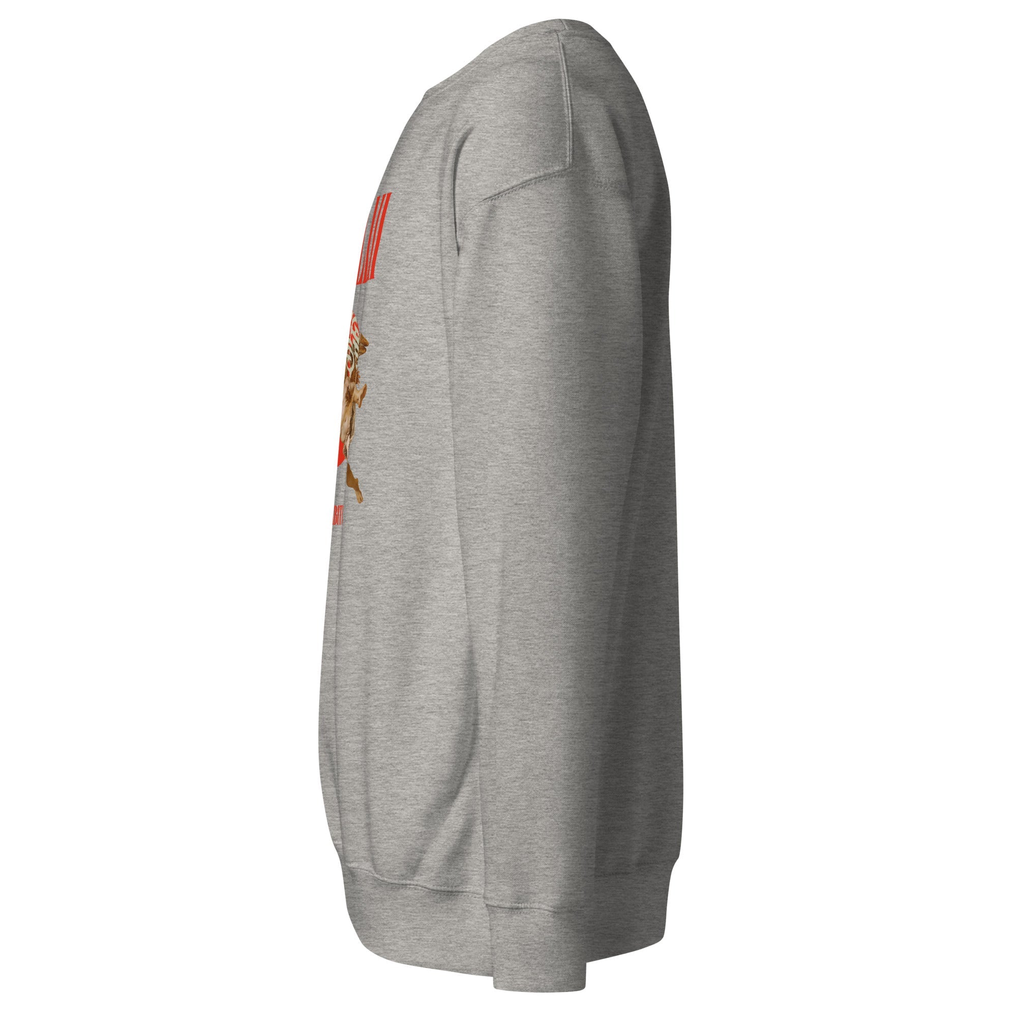 Icarus (Unisex Premium Sweatshirt) - Trillii