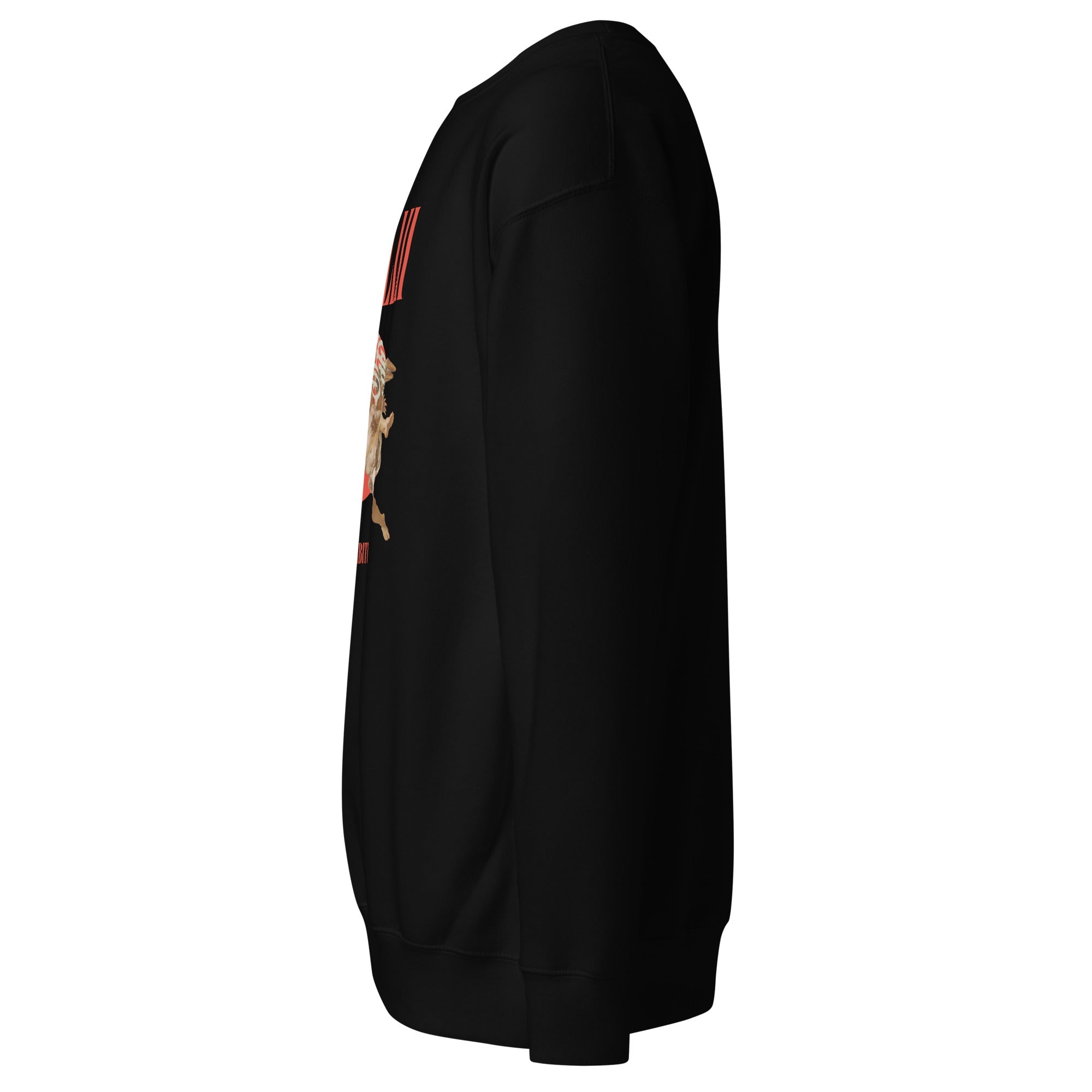Icarus (Unisex Premium Sweatshirt) - Trillii