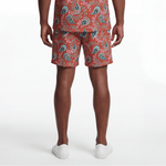Royal Healer (Men's Shorts - FB0066) - Trillii