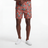 Royal Healer (Men's Shorts - FB0066) - Trillii