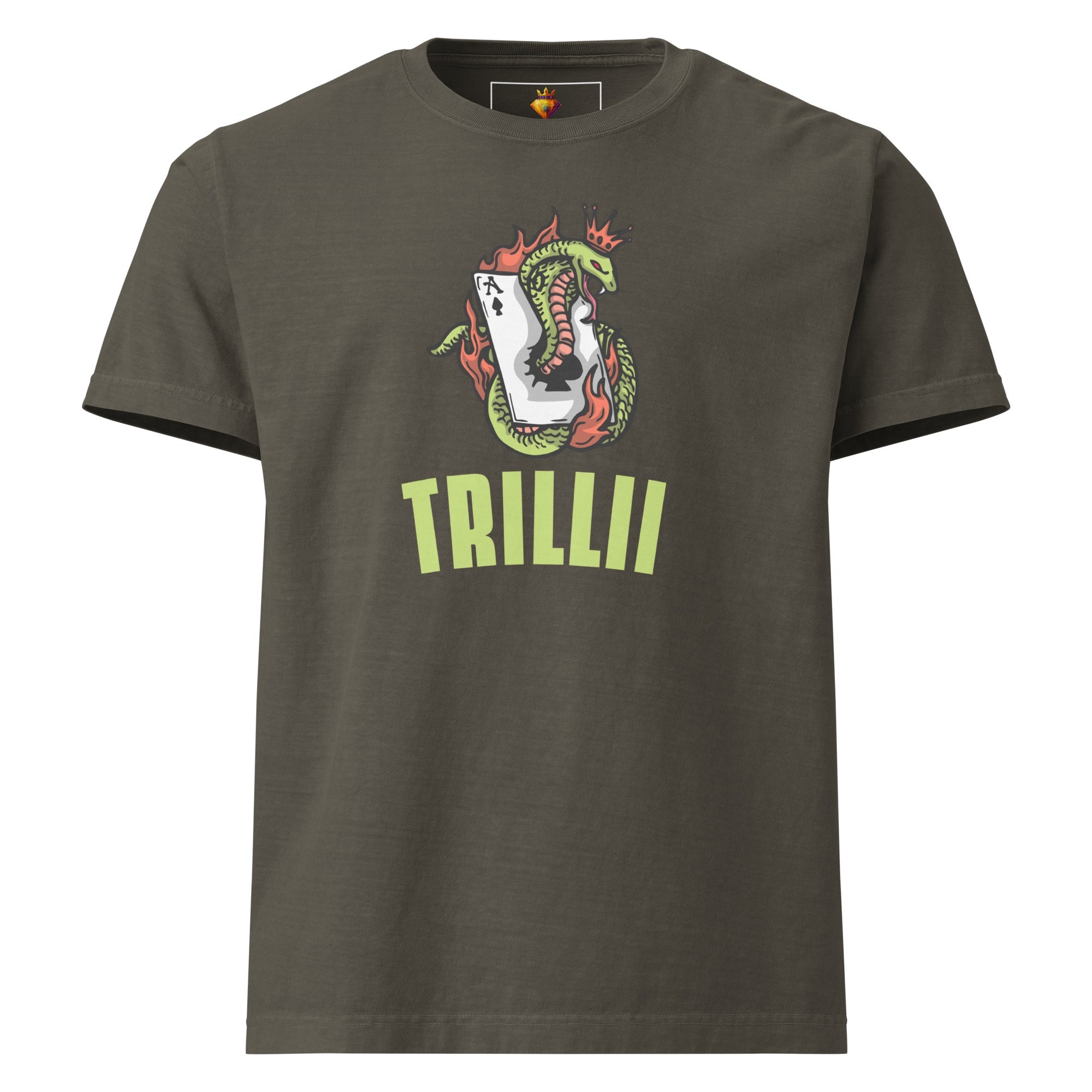 Snakes All Around Me (Oversized t-shirt - FB0146) - Trillii