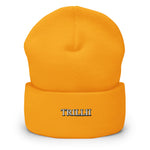 TRILLII - Aligned (Cuffed Beanie - FB0100) - Trillii